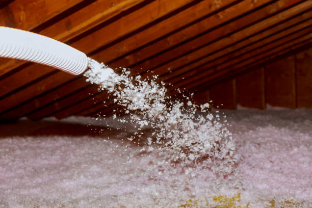 Best Specialized Insulation Services in Holden Heights, FL