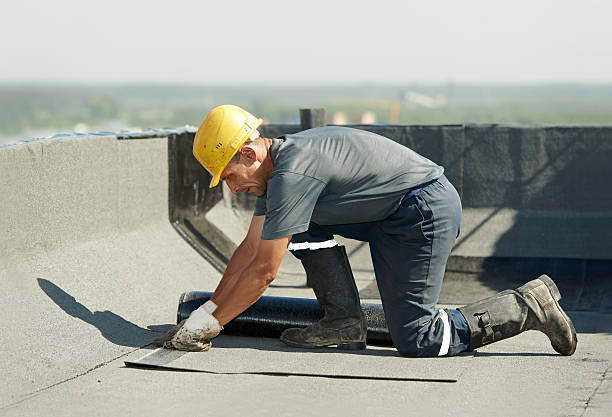 Best Geographic-Specific Insulation Services in Holden Heights, FL