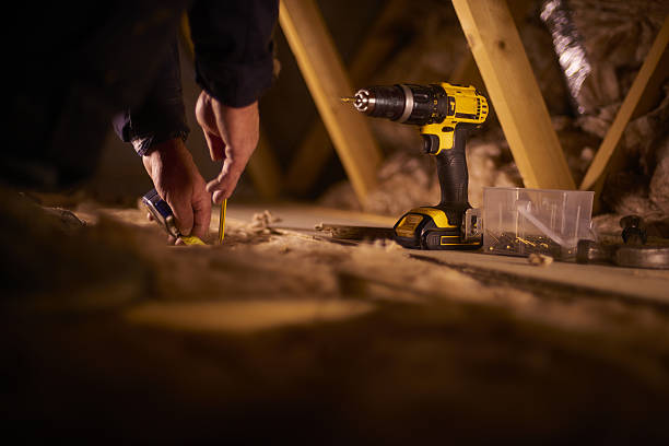 Best Cellulose Insulation in Holden Heights, FL